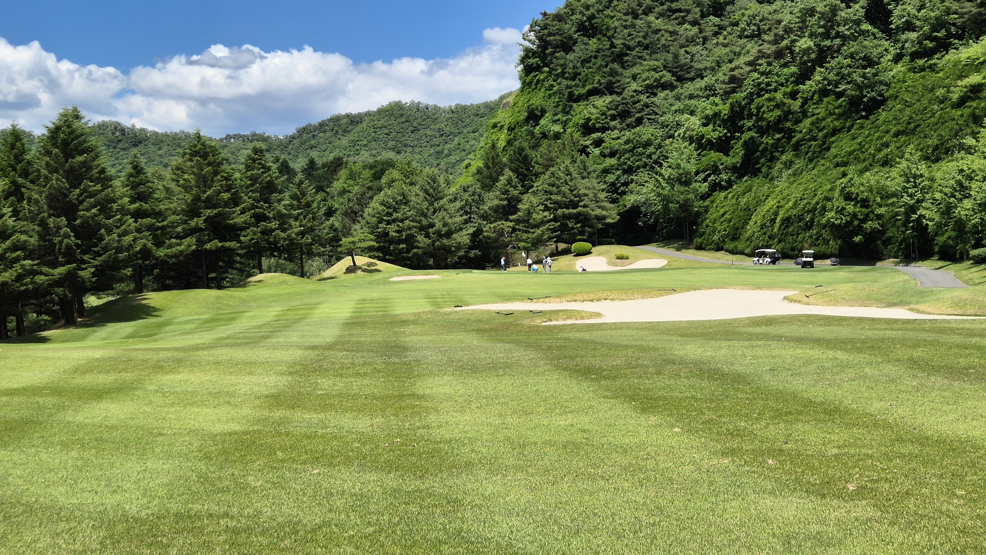 파크밸리gc