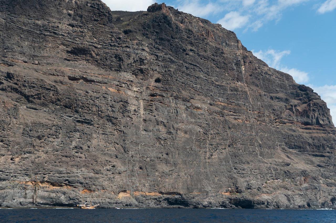 음료와 스낵이 포함된 고래와 돌고래 관찰 신청하러 가기