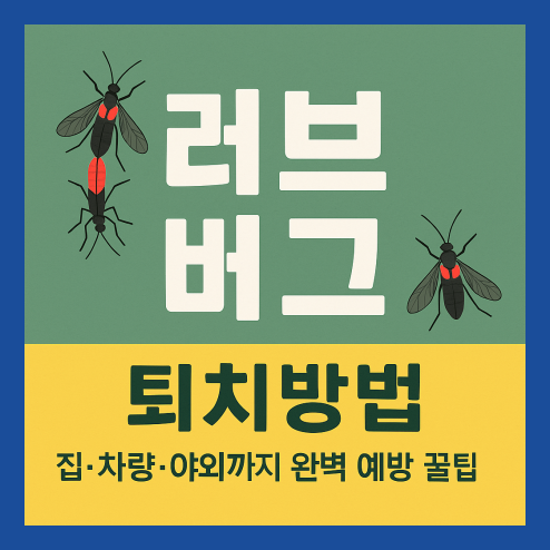 러브 버그 퇴치방법 완벽 예방 꿀팁