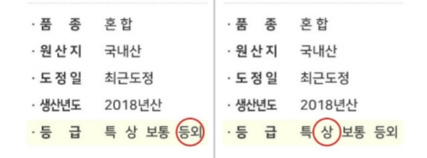 쌀 품종확인