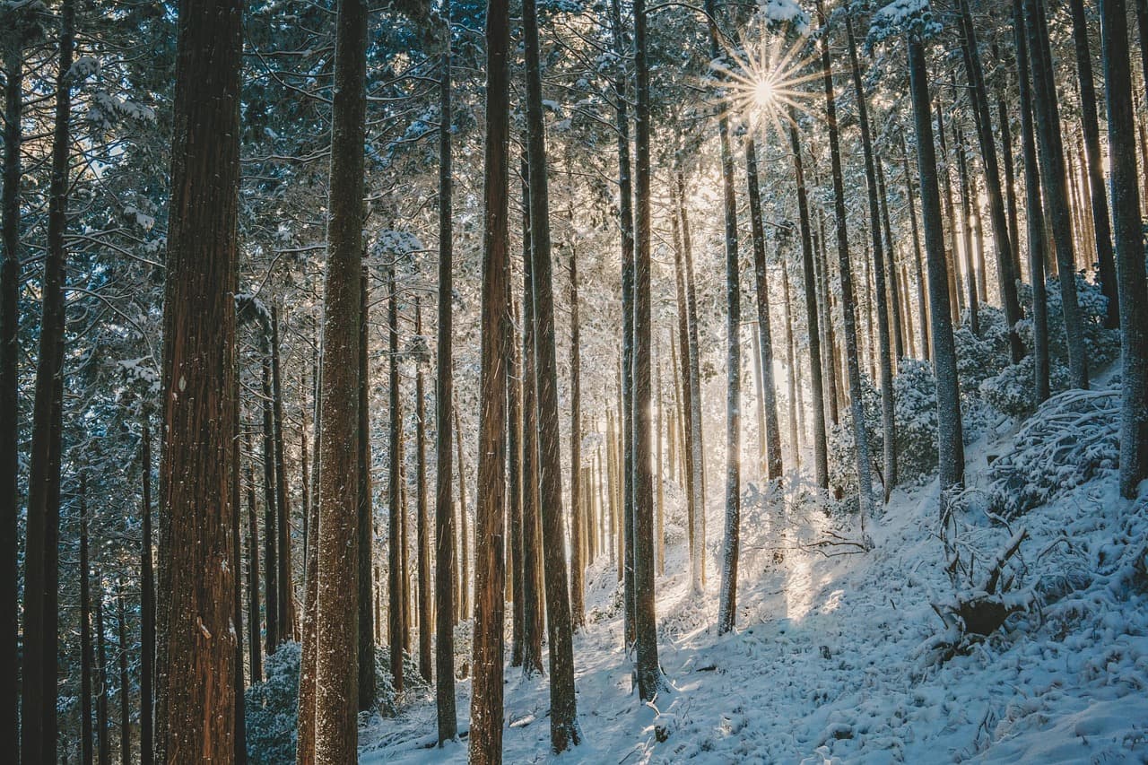2025년 일본 각 지역의 산업 특성과 취업 루트
