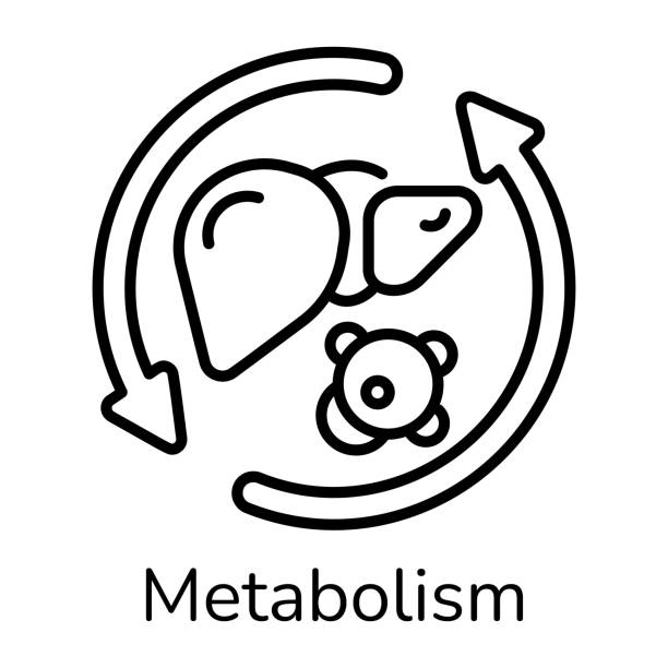 대사성 알칼리증 원인