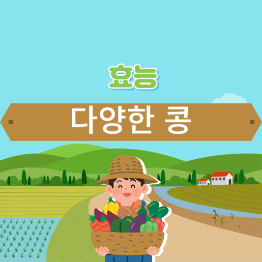 다양한 콩의 효능