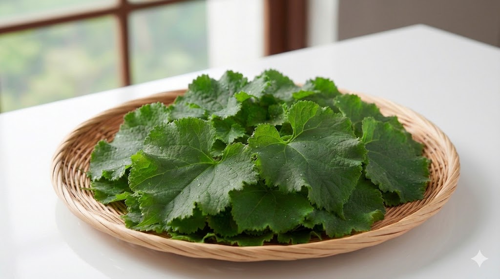 특유의 쌉싸름한 맛과 은은한 향이 일품이며, 베타카로틴과 비타민이 풍부해 만성 염증에 좋은 곰취