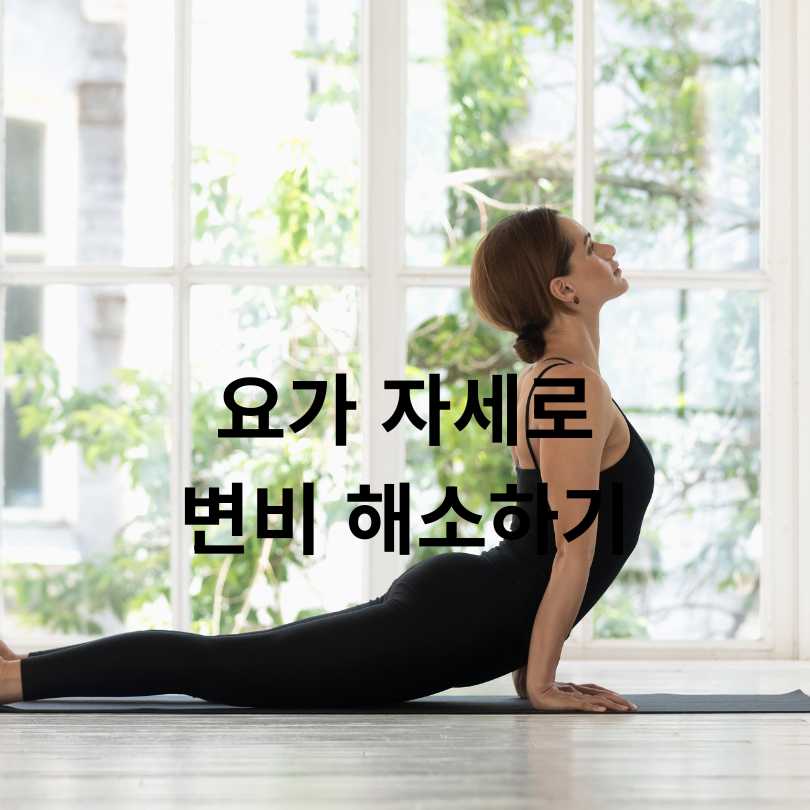 변비 해결 운동 BEST 7