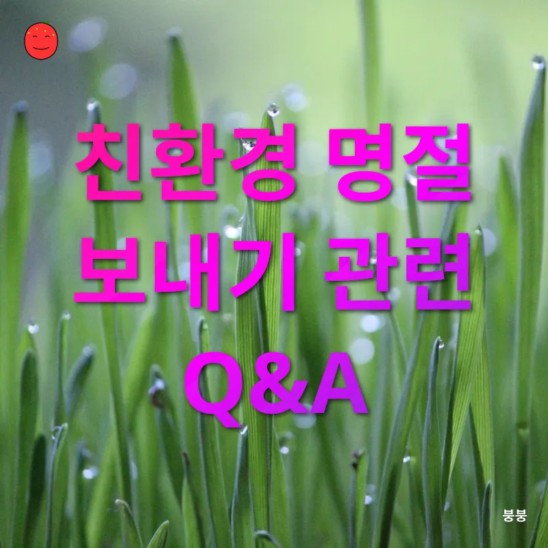 친환경 명절 보내기_4