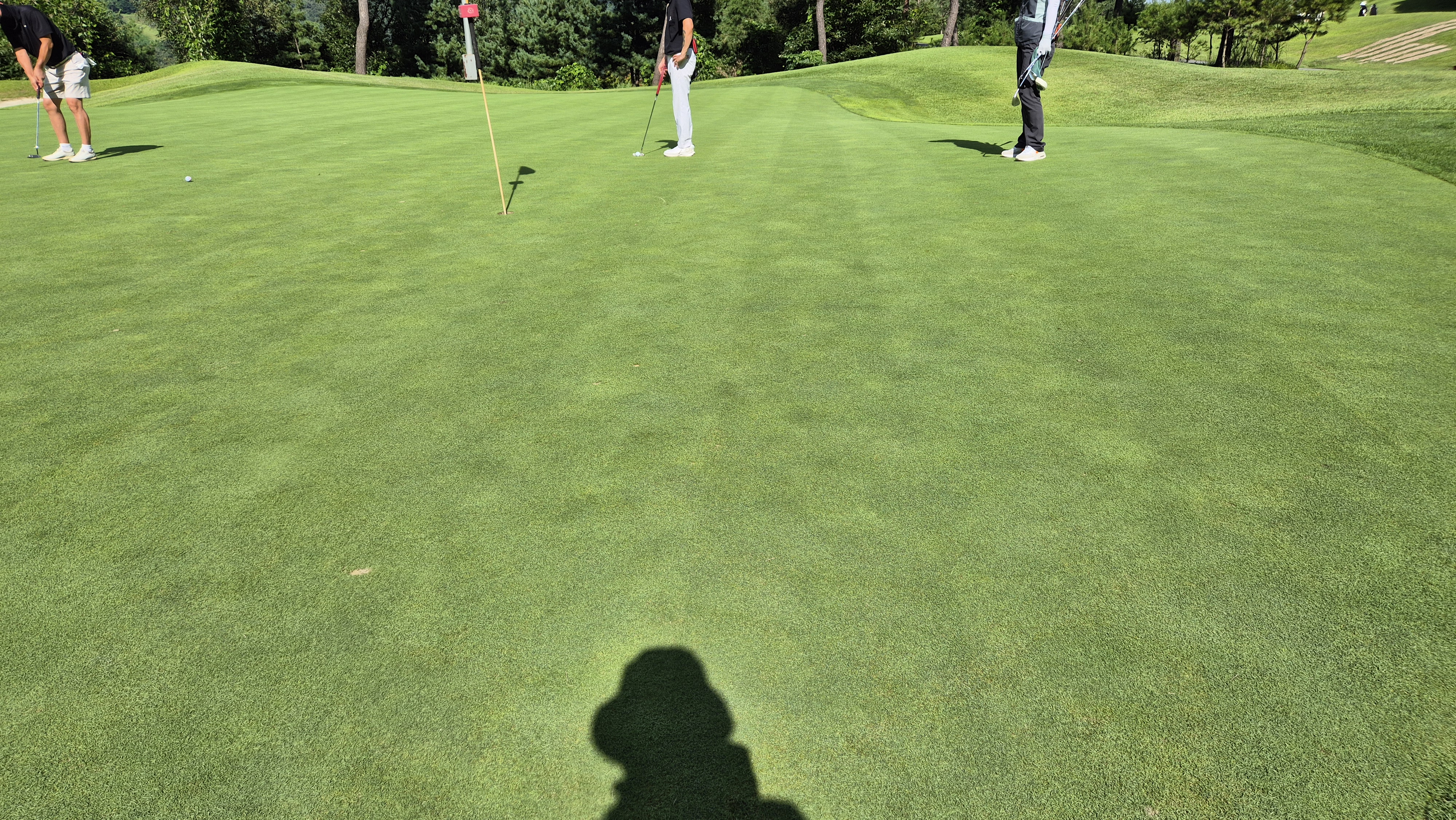 세일cc 들길-산길 코스 라운드 후기