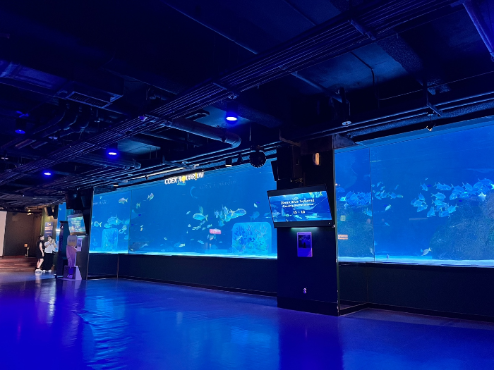 가오리 피딩 타임