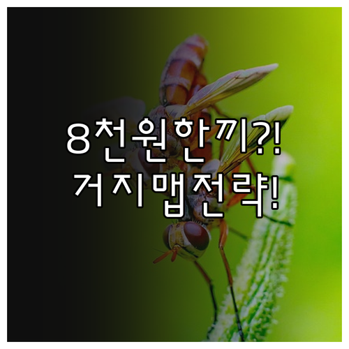 8천원으로 든든한 한 끼 거지맵 식당..