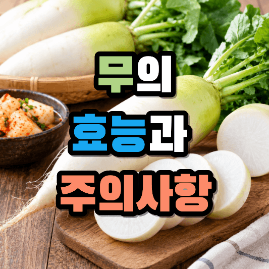 무의 효능