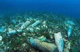 해양오염과 생태계파괴