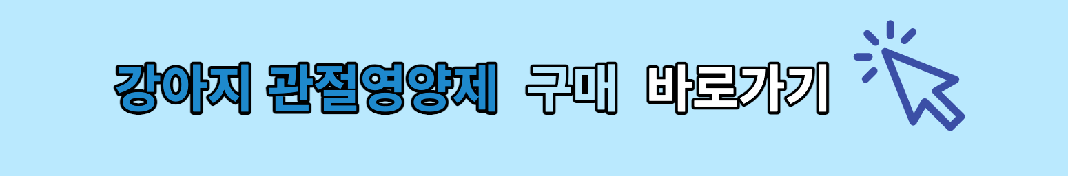 강아지관절영양제