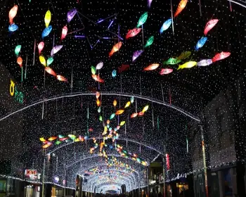 얼음 나라 화천 산천어축제_22