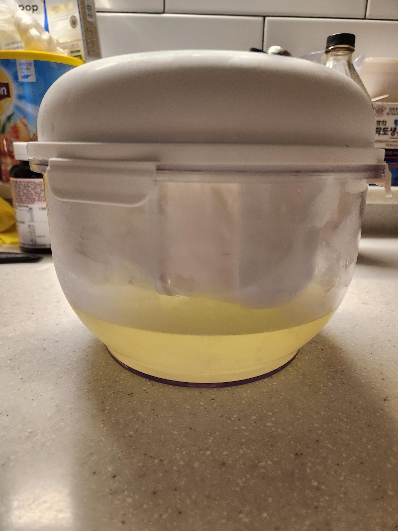 그릭요거트메이커 베어그릭스