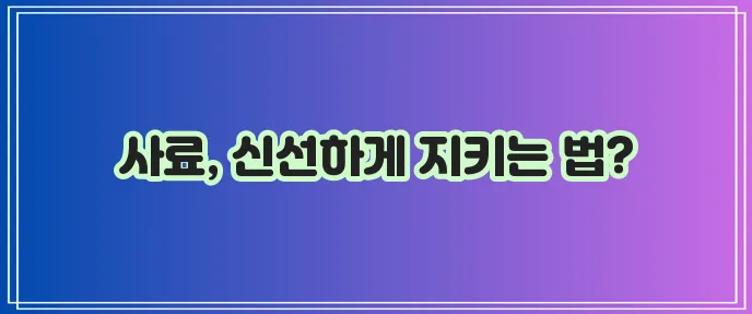 고양이 사료 보관 정법 신선함과 영양소 보존이 중요하죠!