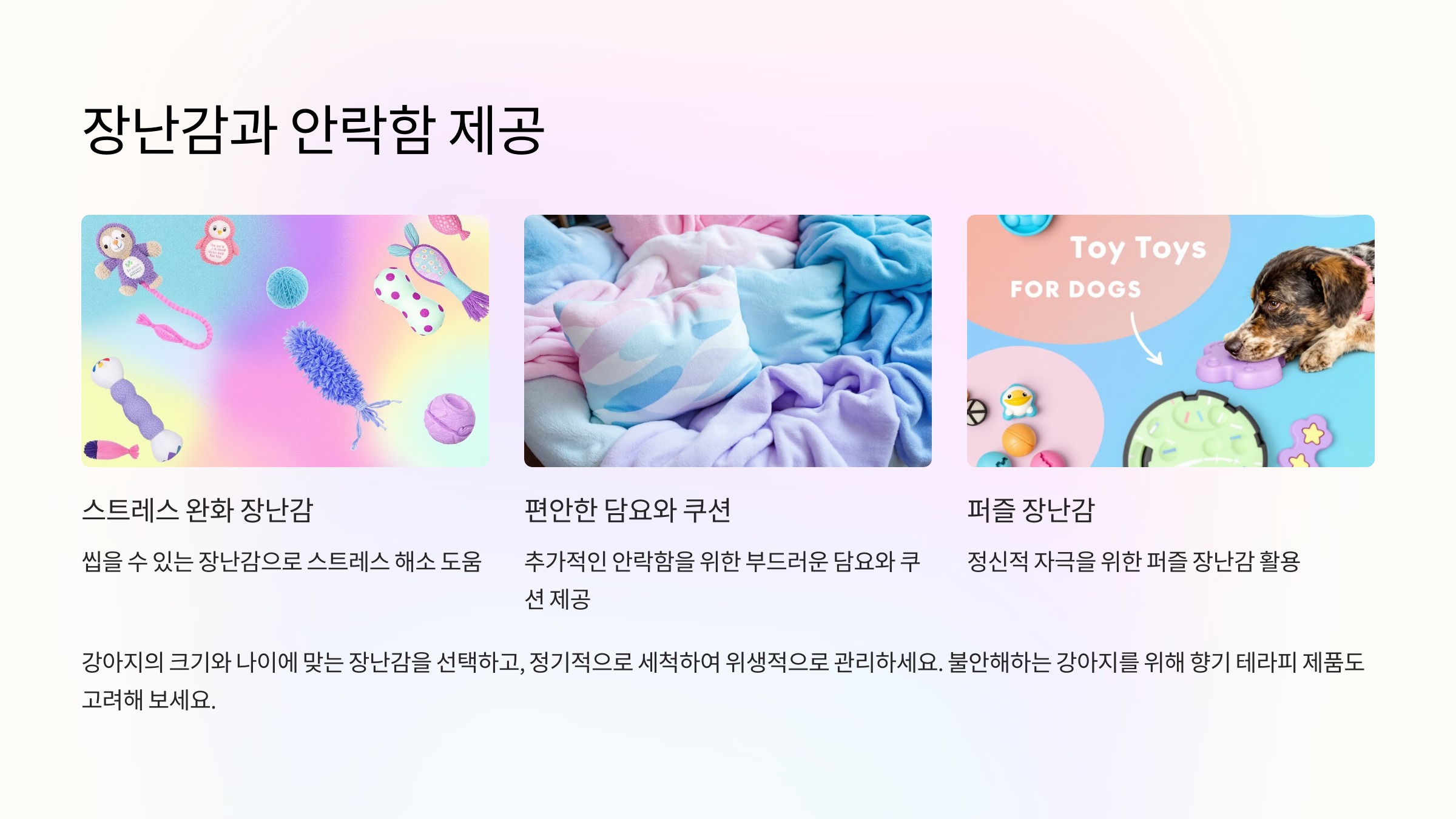 장난감과 안락함 제공