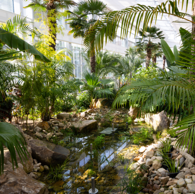 용인 자작나무숲 봄꽃축제