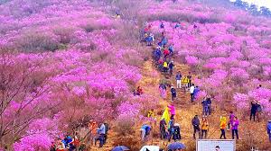 여름 여수 가볼만한곳 베스트10 모음