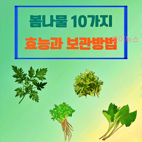 봄나물 대표 10가지의 효능과 보관방법