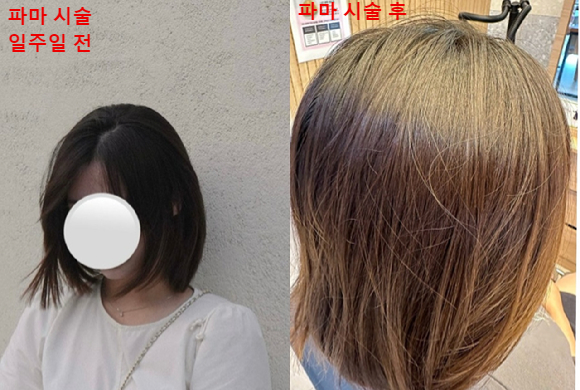 국내 유명 프렌차이즈 미용실에서 상당한 금액을 지불하고 한 파마가 요구했던 것과 달라 환불을 요구했지만, 회사 방침상 환불은 절대 불가능하다며 거절당했다는 소비자의 주장이 나왔다. 사진은 파마 시술 전 머리 모습(왼쪽)과 파마 후 머리 모습. [사진=이나연 씨 제공]