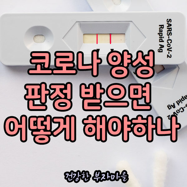 코로나_양성_판정받으면