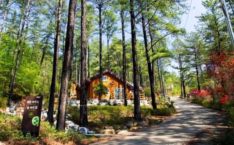 광양 가볼만한곳 베스트 10