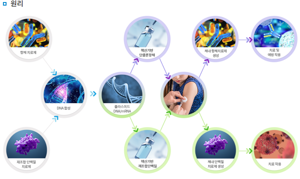 진원생명과학 핵산기반 치료제 원리