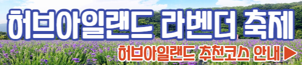 허브아일랜드 라벤더 축제 추천코스