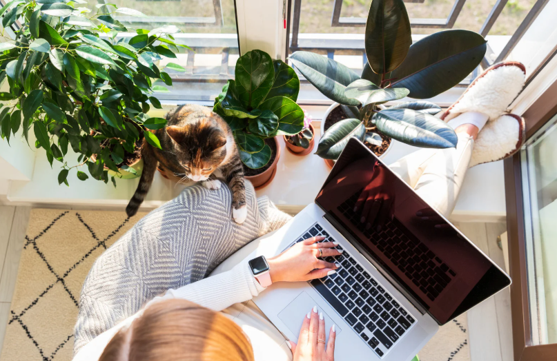 프리랜서 출산휴가 가능여부(정부 지원 포함)