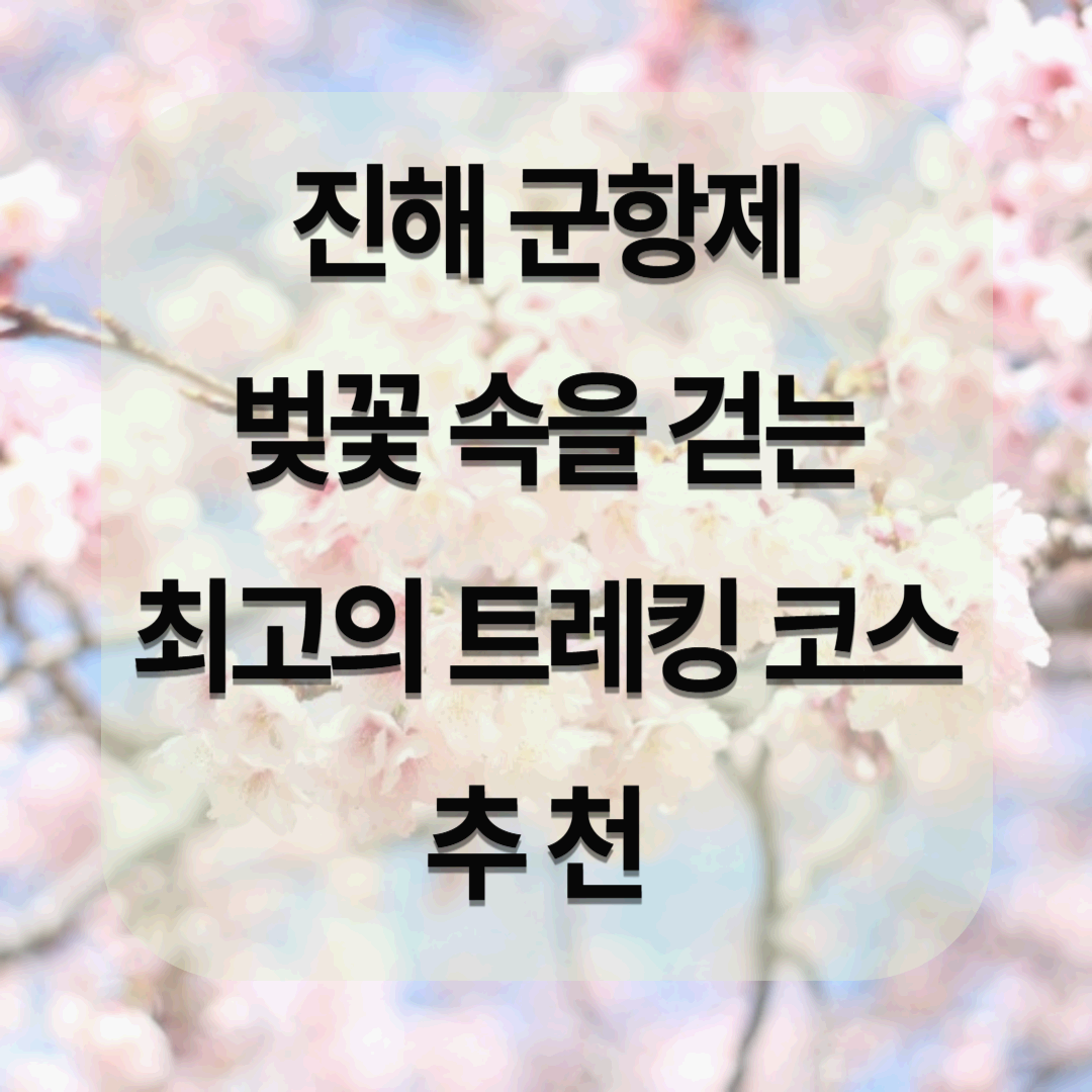 진해 군항제 트레킹 추천 ! 벚꽃 속을 걷는 최고의 트레킹 코스