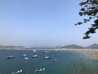 보령 가볼만한 곳 인기여행지 여행코스 TOP10 관광명소_29
