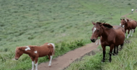 제주도 가볼만한곳 10곳 여행 꿀팁