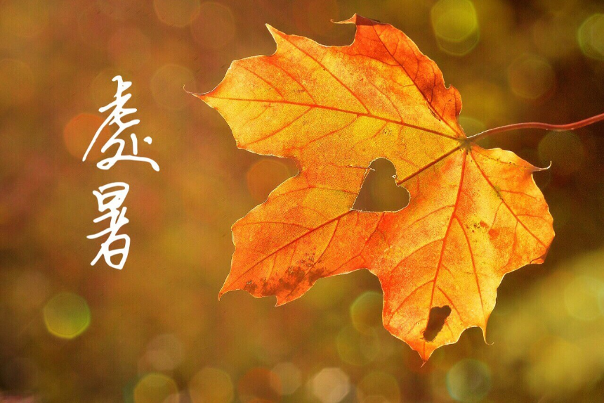 계절의 변화를 세분화한 24 절기 중 '처서' 이해하기