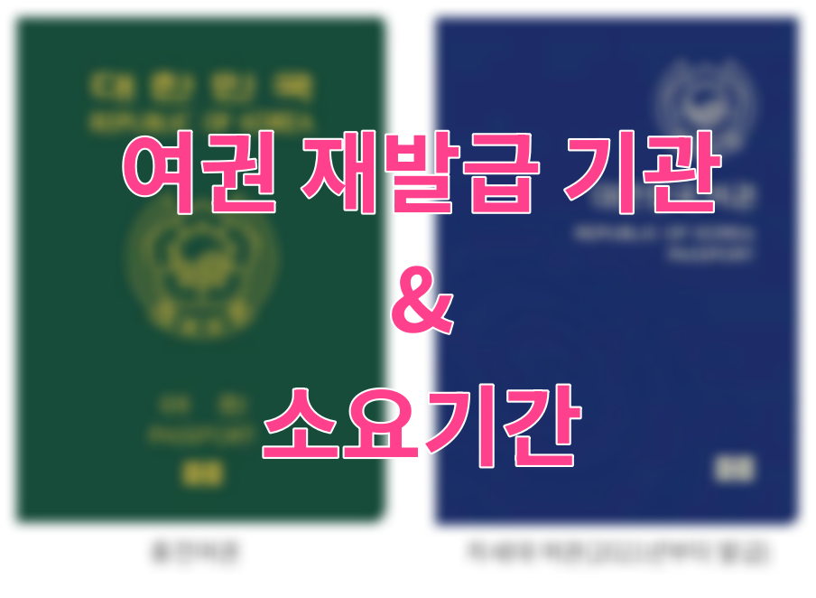 여권 재발급 기관 가까운 곳 찾고 한국에서 재발급 소요기간 확인