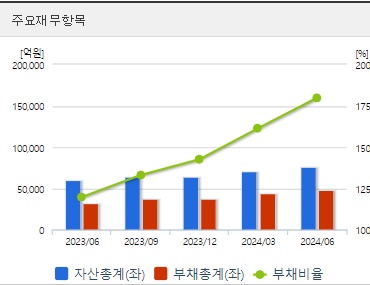 포스코퓨처엠 재무지표 (0902)