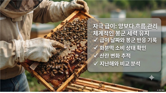 자극 급이 이후 봉군 점검 장면