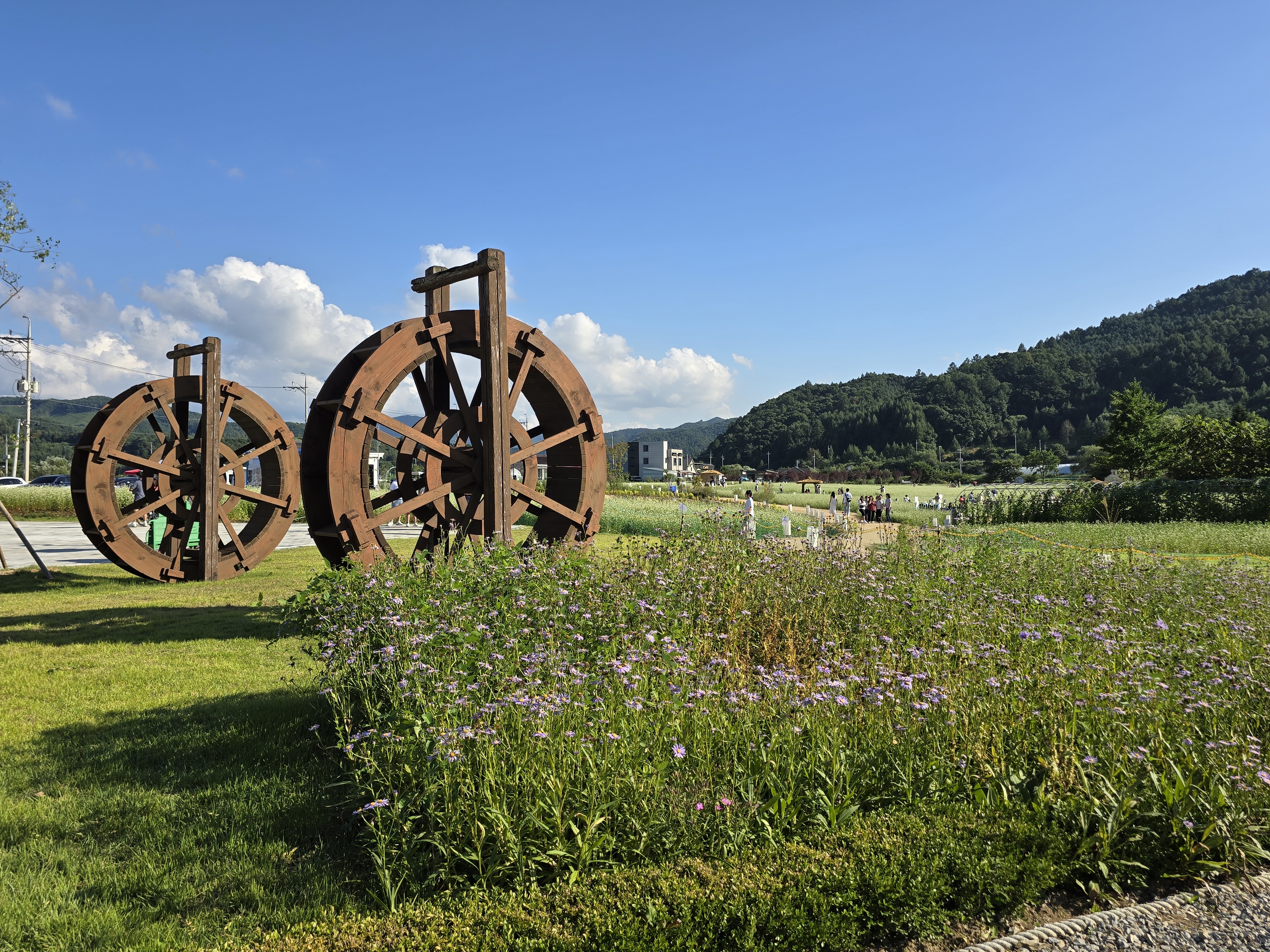 2024평창효석문화제