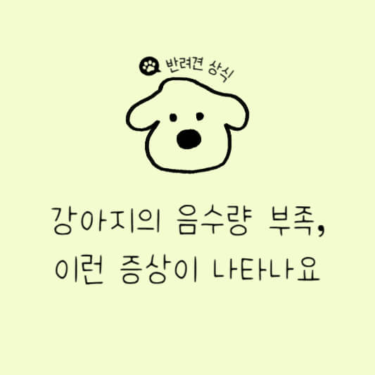 강아지 수분 부족 증상