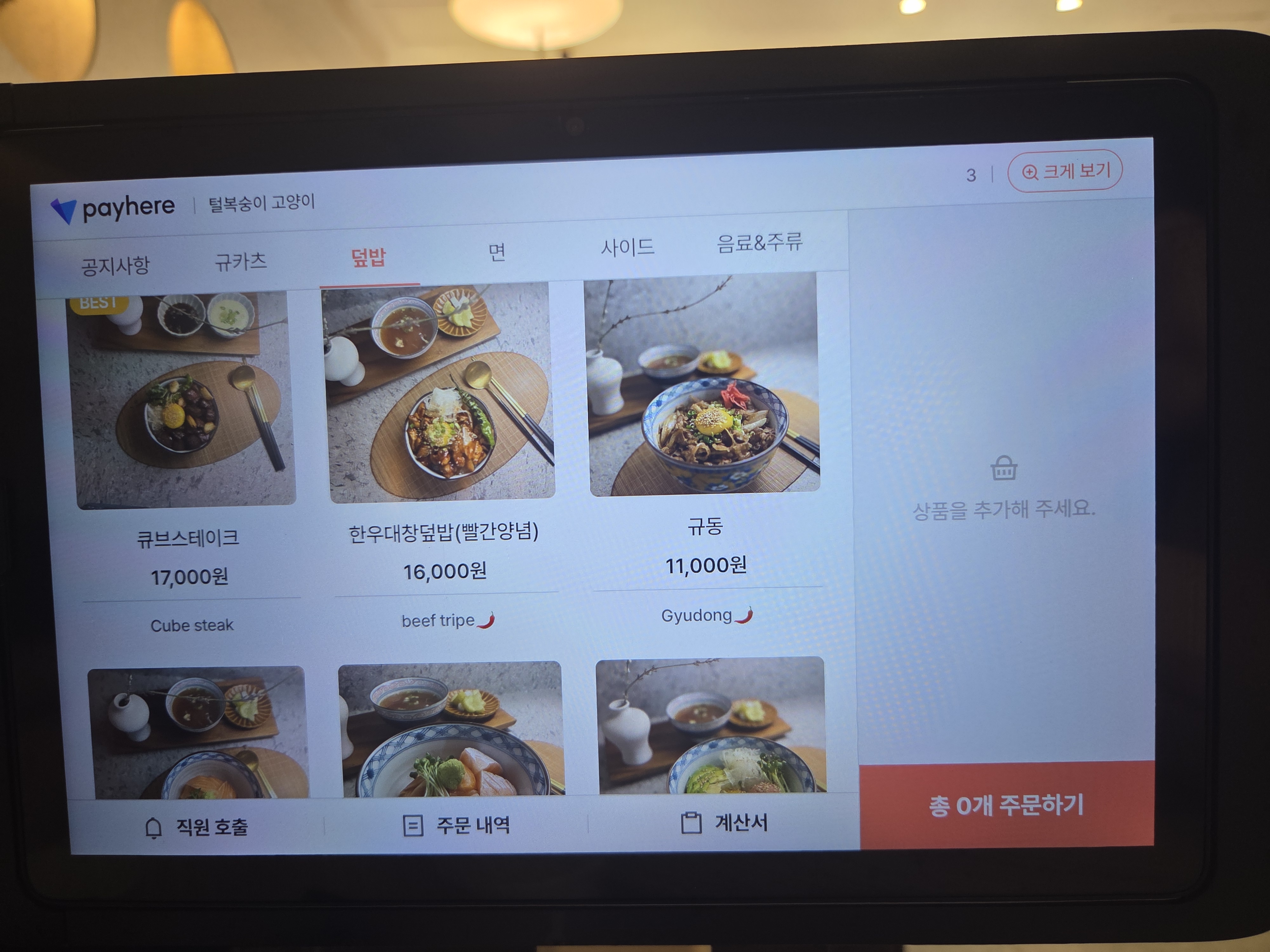 털복숭이고양이