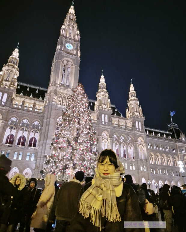#비엔나크리스마스 #유럽크리스마스