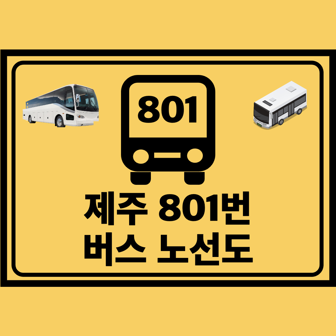 제주_801번_공항리무진_노선도