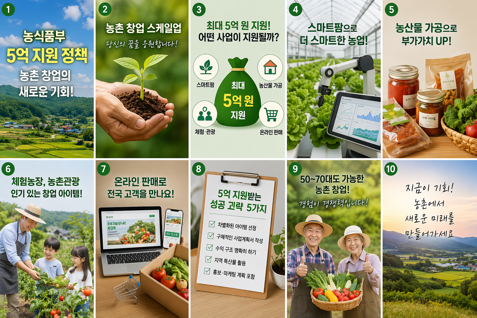 농식품부 5억 지원 정책, 농촌 창업 스케일업 전략 총정리