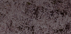 Tile 4
