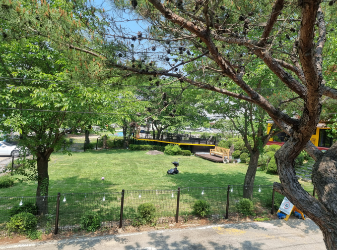 경기-가평-펫밀리-애견파크타운-사진-입니다.