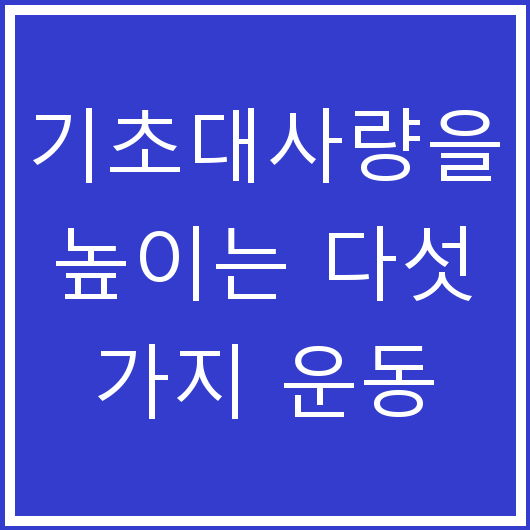 기초대사량을 높이는 다섯 가지 운동