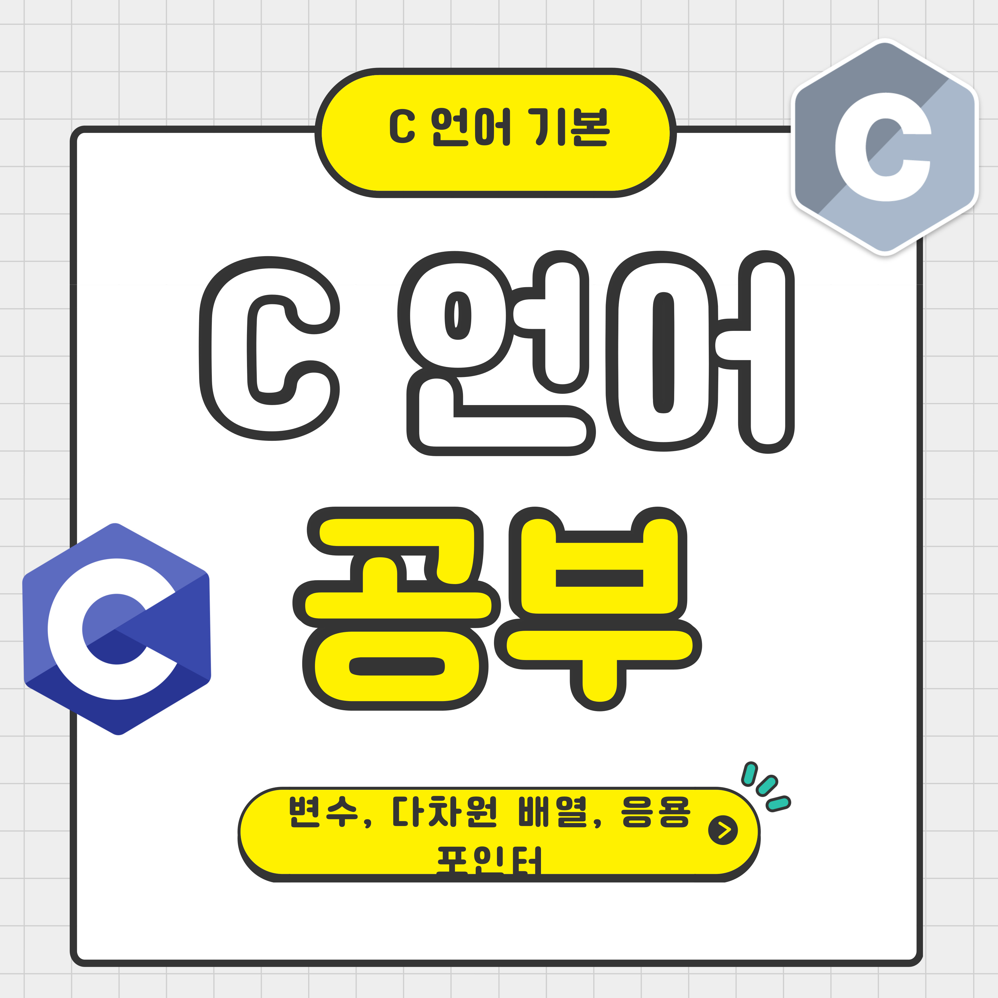 C 언어 기본 변수, 다차원 배열, 응용 포인터 소개 이미지