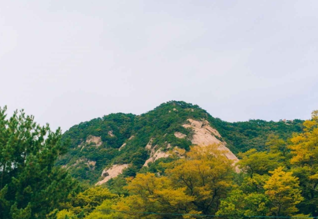 보은 가볼만한곳 베스트10