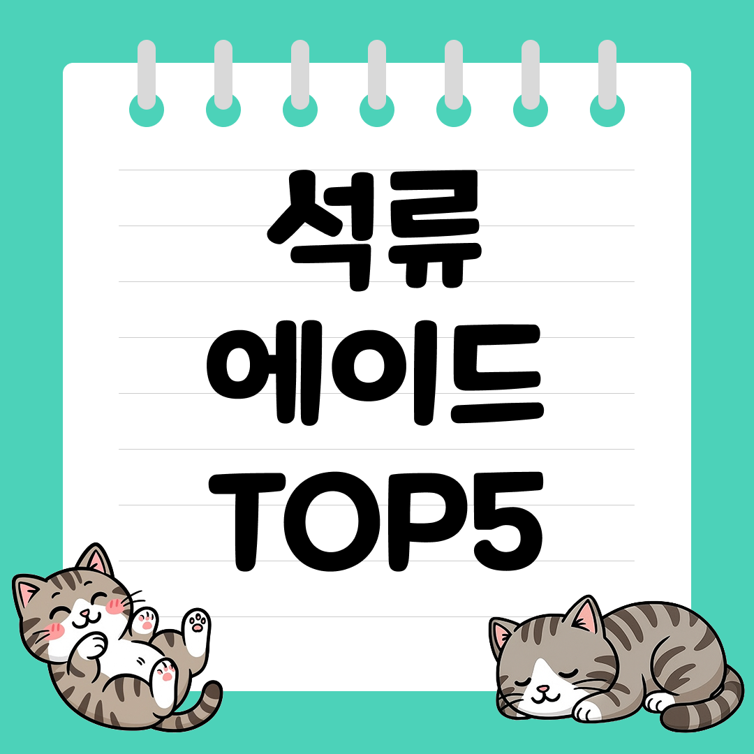비타민 충전으로 하루를 상쾌하게, 석류 에이드 추천 순위 TOP5