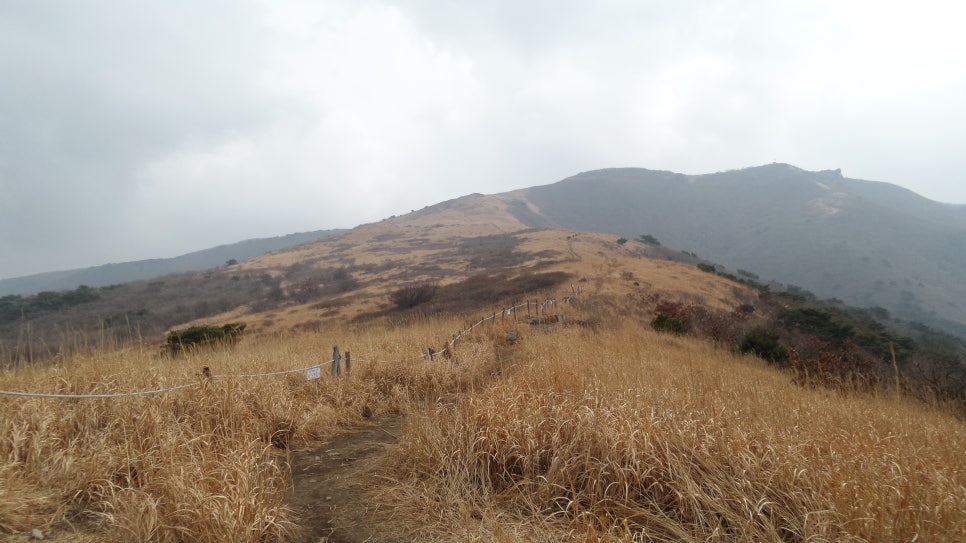 100대 명산 등산하기 열아홉번째 양산 천성산 부산·양산권에서 사계절 내내 사랑받는 산