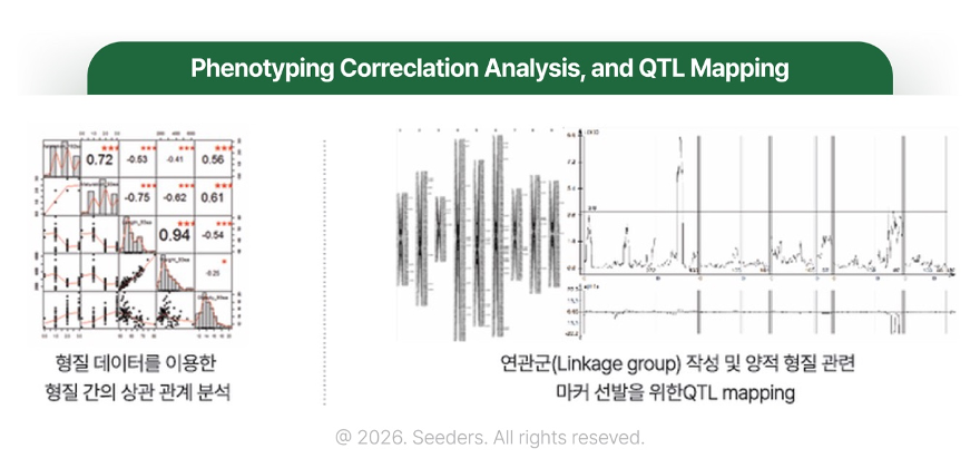 GBS와 WGS 차이 형질 상관관계 연관지도 QTL
